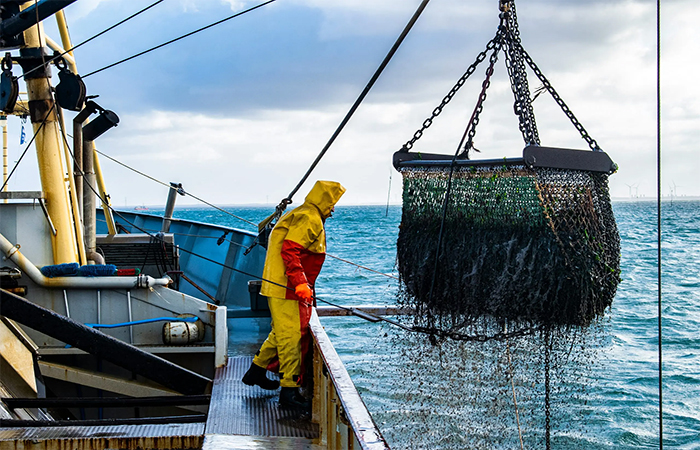 Mudanças climáticas são uma grande ameaça à pesca mundial, dizem especialistas