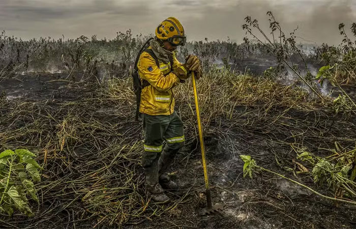 Impactados pelas mudanças climáticas, Pantanal e Amazônia têm clima mais propenso ao fogo em 44 anos