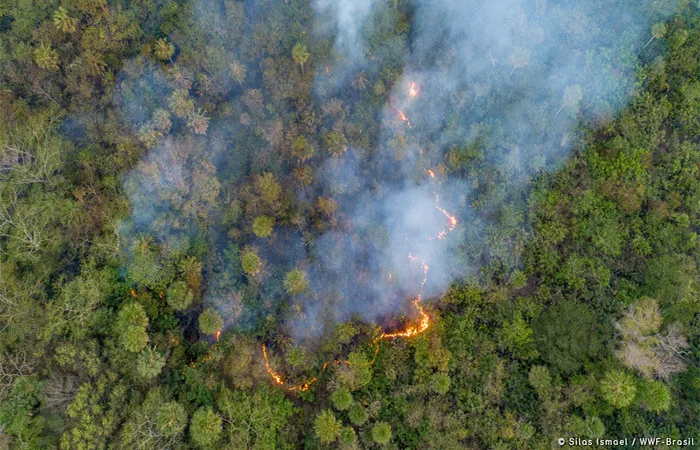 Número de queimadas explode e Amazônia tem o pior mês de julho desde 2005