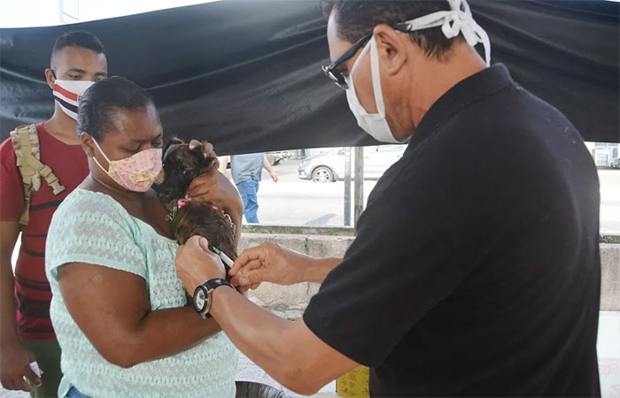 Dia D de vacinação contra a raiva animal acontece neste sábado em todos os municípios da Paraíba