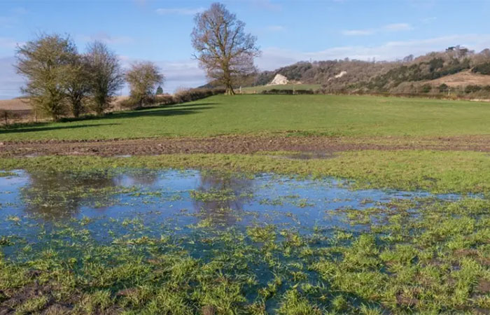 Entenda a importância do lençol freático, responsável por armazenar água da chuva nas partes subterrâneas da Terra