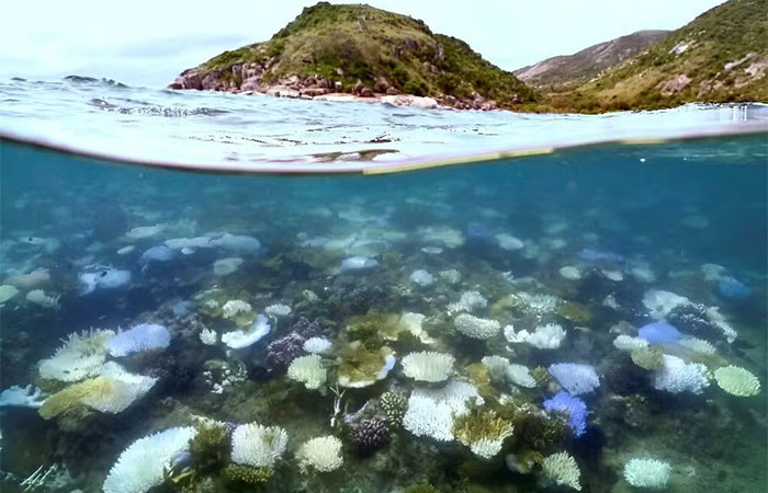 Acidificação dos mares: 7º limite planetário essencial para equilíbrio da vida na Terra está na iminência de ser violado