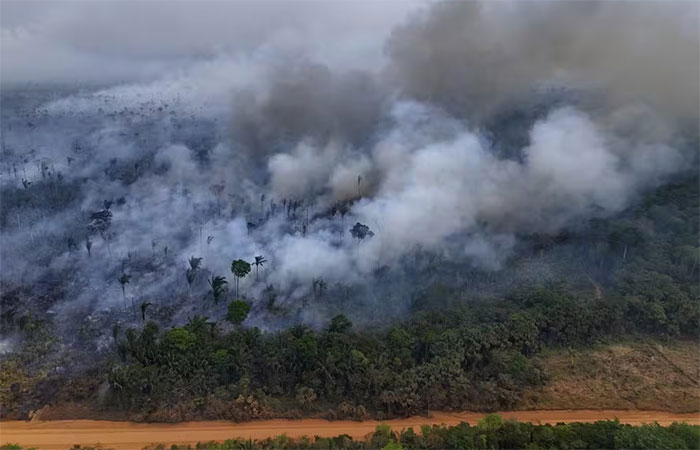 Incêndios no Cerrado, Pantanal e Amazônia em agosto se concentraram em áreas de florestas primárias “intocadas”