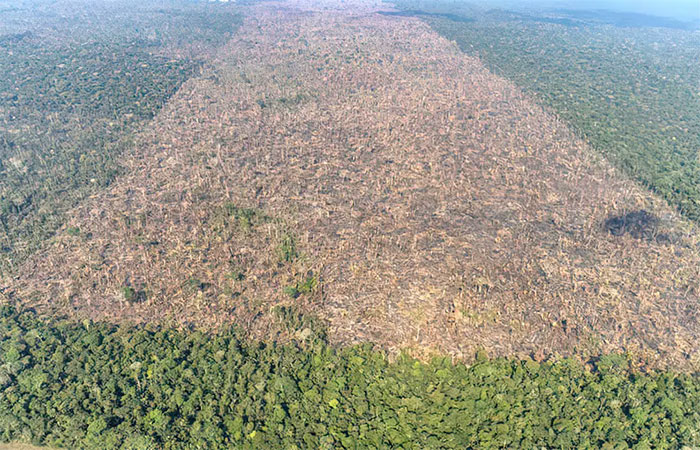 Fogo na Amazônia é etapa da exploração econômica do bioma