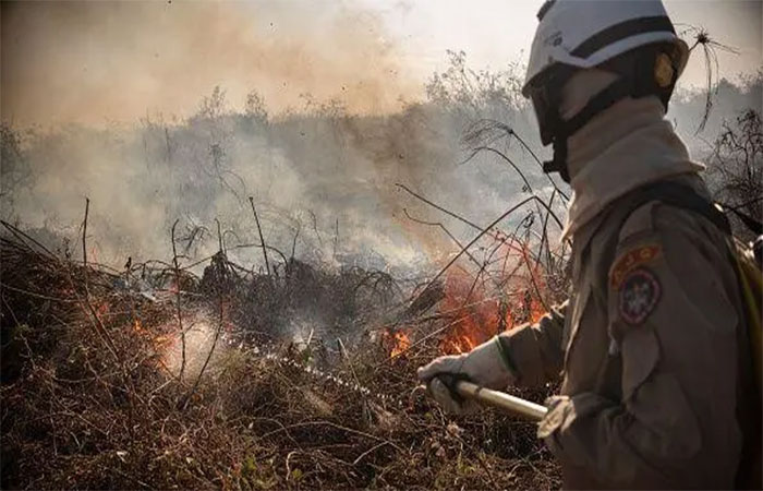 Amazônia e Pantanal têm piores queimadas das últimas duas décadas, alerta agência europeia