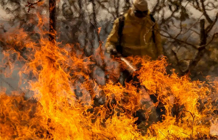 Fogo é nova ameaça ao Cerrado em território agrícola