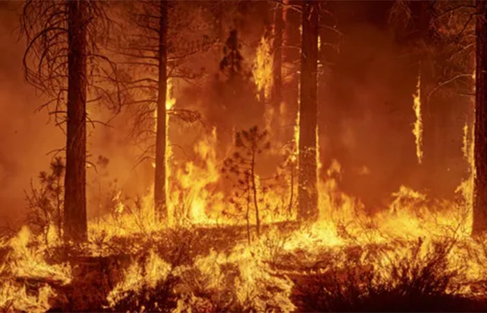 Esqueça o aquecimento global: o mundo já vive a Era da ebulição?