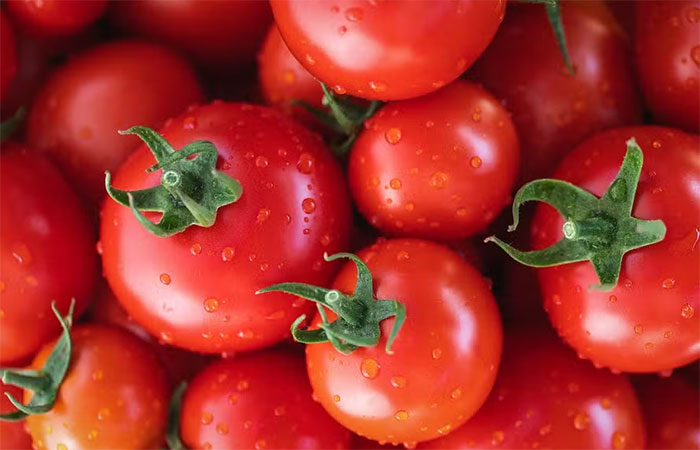 Por que os tomates não têm mais o mesmo sabor de antigamente?