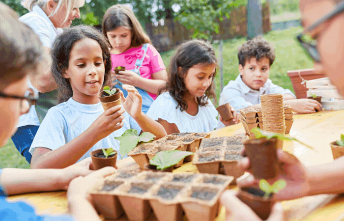 Educação Ambiental e Sustentabilidade: Novas Diretrizes e Iniciativas Inovadoras nas Escolas Brasileiras