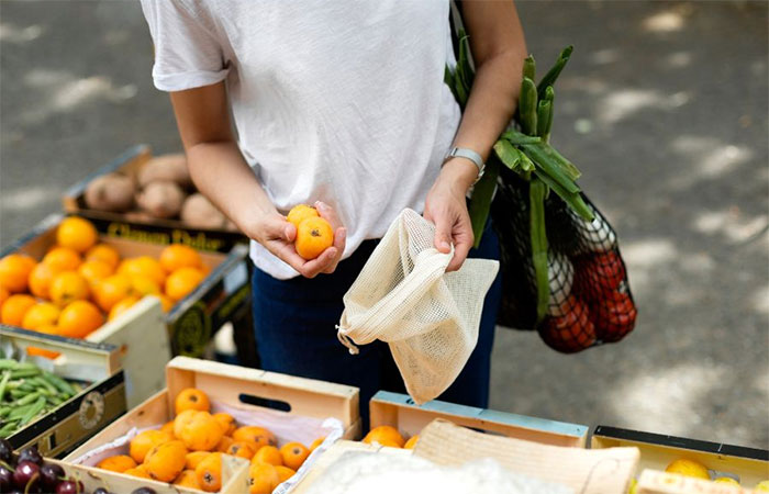 Guia completo de sustentabilidade: como reduzir o consumo e viver de forma mais sustentável