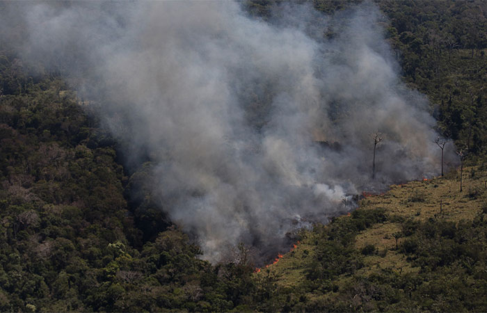 Amazônia Internacional não foi poupada da devastação causada pelos incêndios