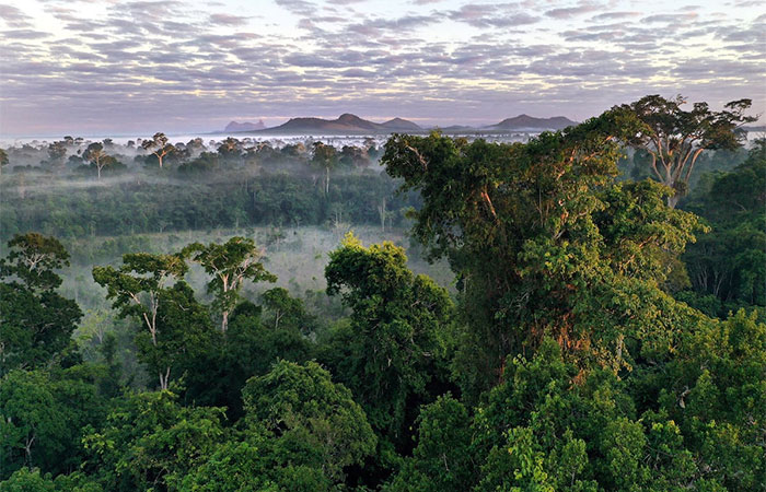 Parque do Descobrimento: um santuário de biodiversidade