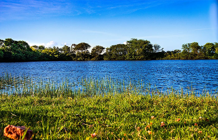 Redução no desmatamento da Amazônia impulsiona queda de 12% nas emissões de gases de efeito estufa