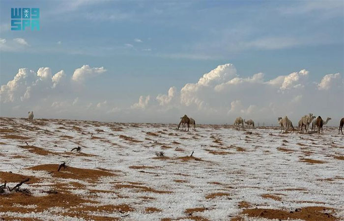 Granizo deixa deserto na Arábia Saudita com aparência de neve