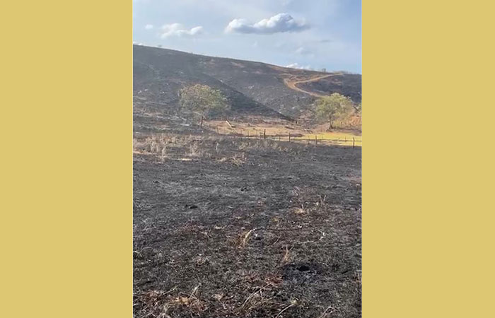 Polícia da PB investiga incêndio que destruiu cerca de 15 hectares de vegetação da Caatinga