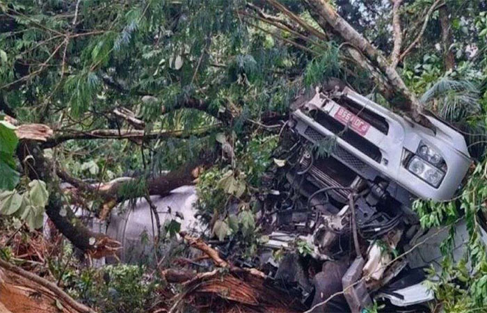 Rio: caminhão com carga tóxica tomba e atinge área de parque nacional