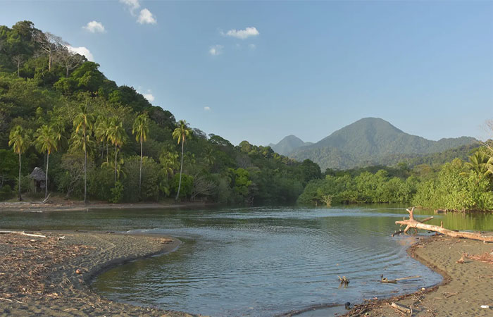 Os 5 dados sobre a selva de Darién: entenda por que ela é uma das florestas mais perigosas do mundo
