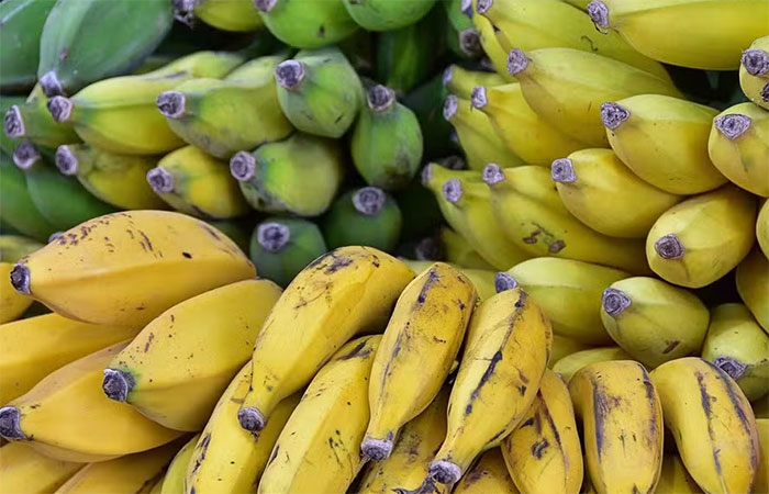 Saiba como fazer o alimento durar mais no calorão