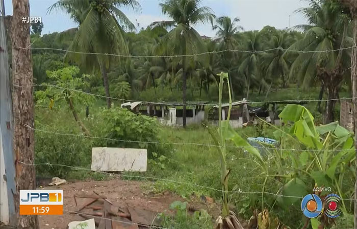 Fiscalização encontra currais de porcos que fazem descarte irregular de dejetos no Rio Jaguaribe