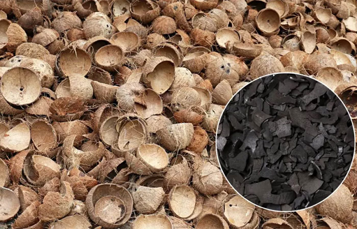 Nordeste inova e cria biocombustível com casca de coco
