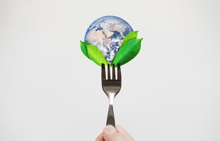 Dieta ‘planetária’ e ‘mediterrânea’ têm benefícios semelhantes para a saúde e sustentabilidade, mostra estudo