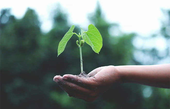 Vivemos em um mundo onde a sustentabilidade se tornou um tema essencial para empresas e consumidores