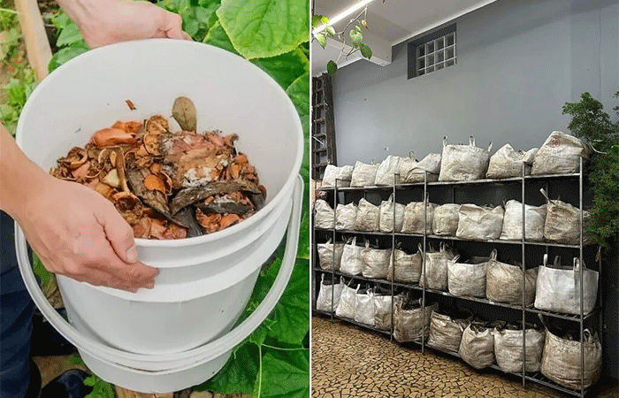 Método inovador tem meta de revolucionar compostagem urbana
