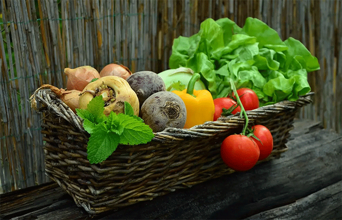 Aquecimento global ameaça a diversidade de alimentos produzidos