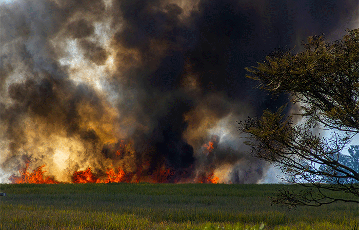 Estudo: poluição tóxica de incêndios florestais atinge mais de 1 bilhão de pessoas em todo o mundo