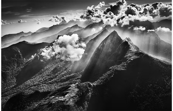 “Aproximei-me tanto da natureza que me tornei natureza”: frases de Sebastião Salgado sobre nosso Planeta, suas belezas e desafios