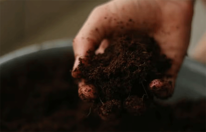 Por que algumas pessoas comem terra? Prática é mais comum do que se imagina