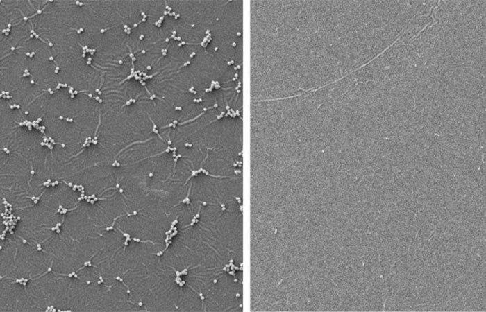 Criada uma tinta resistente que mata bactérias e vírus