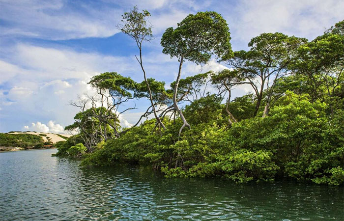 Nordeste tem o parque mais visitado do Brasil; conheça