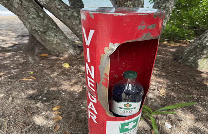 Por que este país tem várias praias com estações de vinagre?