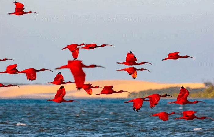 Delta do Parnaíba atrai visitantes pelo seu potencial sustentável