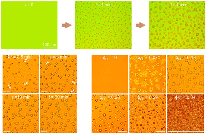 Material que coleta passivamente água do ar é descoberto por acaso