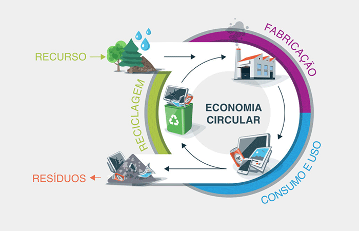Economia Linear x Circular: qual o melhor caminho para o futuro?