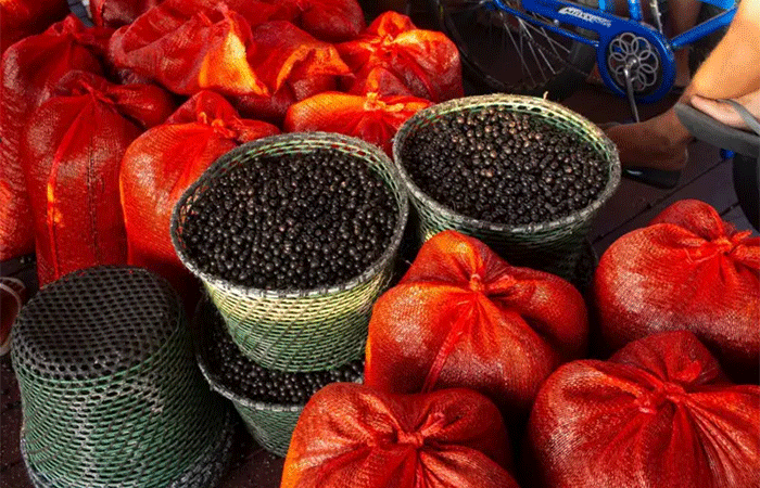 8 frutas raras que você só pode provar na Amazônia