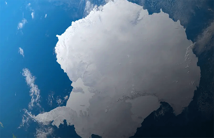 Transformações na Antártida afetam clima e baleias no Brasil