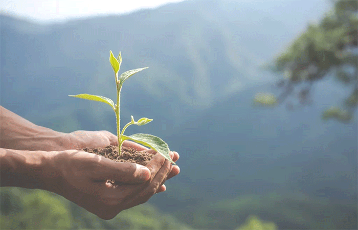 Semana do Meio Ambiente destaca desafios e avanços na preservação do Nordeste