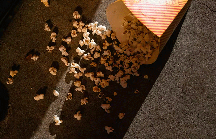A regra dos 3 segundos para comida que cai no chão funciona?