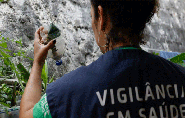 Pesquisa identifica aumento da incidência de infecções transmitidas por animais