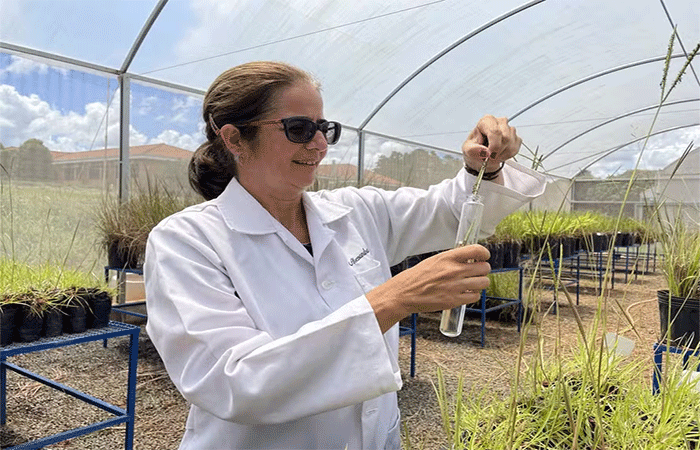 Por que cientistas brasileiros estão enviando alimentos para o espaço?