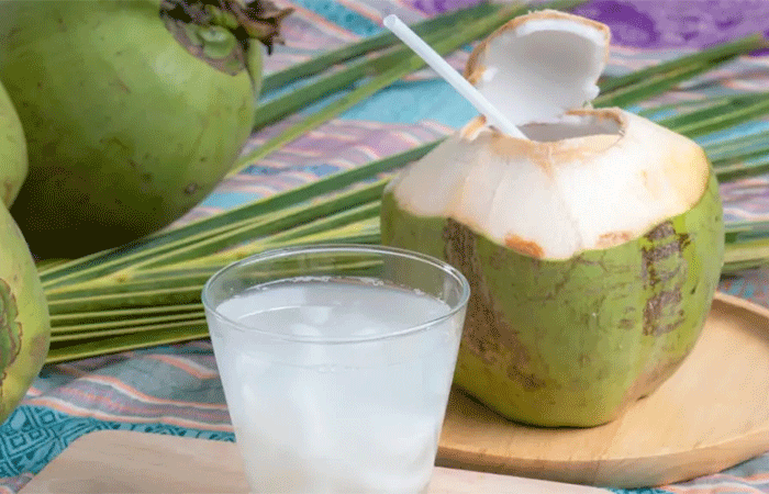 UECE desenvolve solução com água de coco para preservar rins