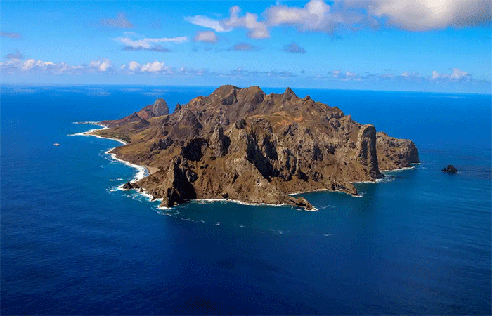 Ilha capixaba aumenta flora nativa e é modelo de restauração ambiental