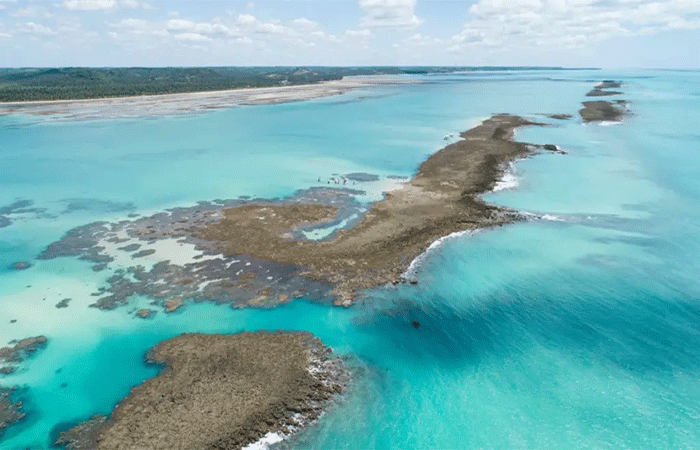 Descubra 10 áreas de proteção ambiental no Nordeste