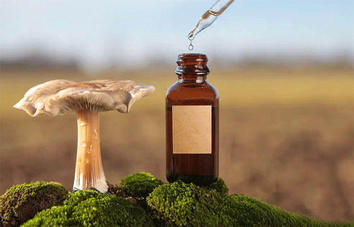 Como os resíduos dos medicamentos afetam o meio ambiente
