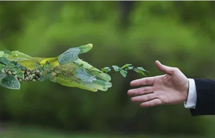 Envolverde: um vetor de desenvolvimento para a comunicação ambiental