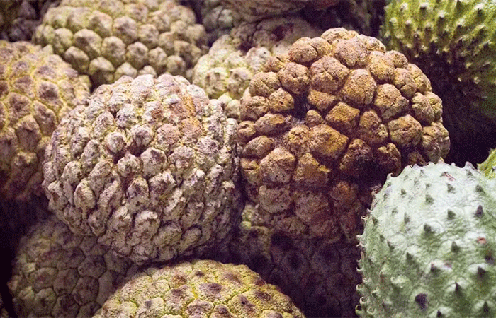 Araticum, a fruta do Cerrado que pode ser mais doce que a cana-de-açúcar