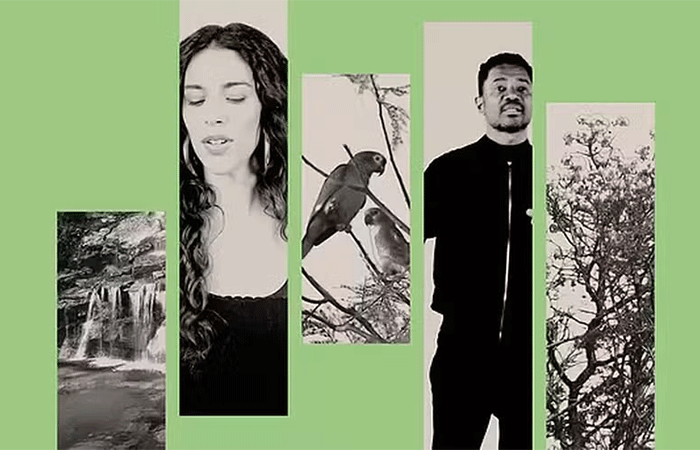 “O Que Será do Cerrado”: artistas se unem em defesa do bioma ameaçado